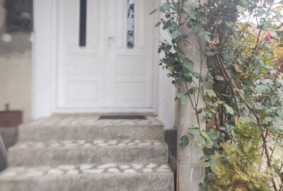 Spațiu comercial, de 135 mp, în Lipovei - 10