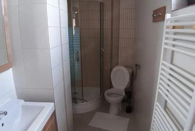 Garsonieră decomandată în Dămăroaia - 6