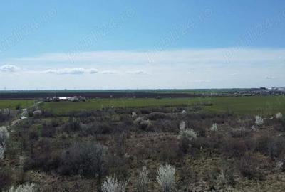 Glina - strada Ilfov, 2000 mp d = 11 m - 1