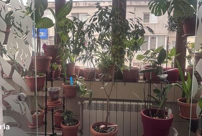 Apartament cu 4 camere decomandat în Poarta 6 - 15