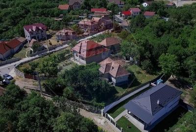 Casa cu gradina de vanzare in Copaceni - 1