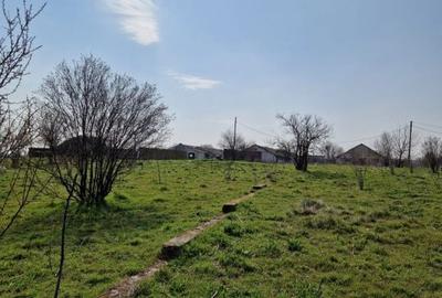 Teren de 79106 mp, în Central