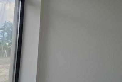 Spațiu comercial, de 40 mp, în Gherăești - 4
