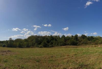 Spațiu comercial, în Plopu - 8