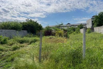 Teren Ghencea- Dantelei- Darvari. - 7