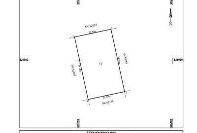 Spațiu comercial, în Bucium - 7