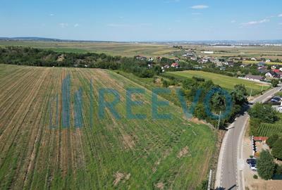 Teren de vanzare, Com. Sarata, Jud. Bacau - 8