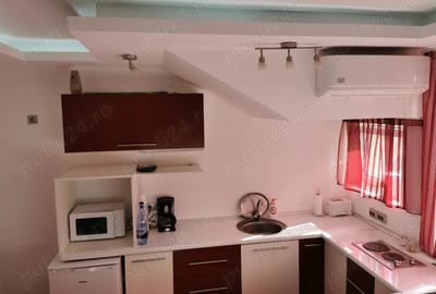 Chirie apartament la vila in Cantemir - Bistri?ei - 7