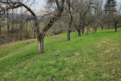 Casă cu 4 camere în Central - 5