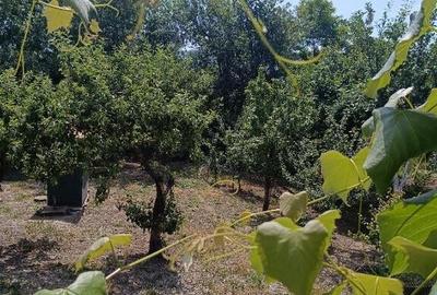 Casă cu 5 camere cu Teren 500 Mp în Unirea - 10