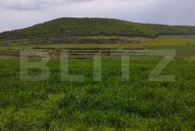 Teren de 3621 mp, în Petrești