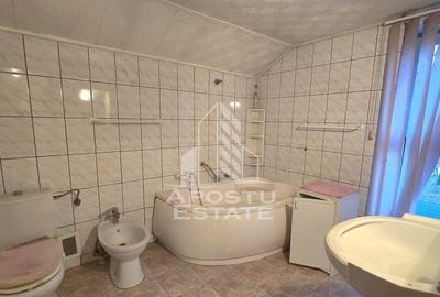 Casa individuala, zona Mehala - Cetatii, teren generos - 2