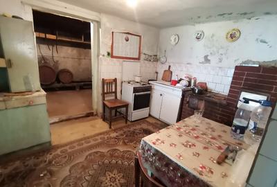 VAND CASA 4 camere ,curte si gradina de 536 mp,sat.Rod - 10