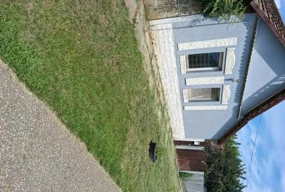 Casă cu 2 camere în Central - 2