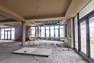 Proprietate speciala de inchiriat D+P+E+M in Calea Aradul... - 2