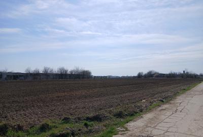 Teren intravilan 16400 mp, Balotesti-Saftica - 50 euro/m2 - 11