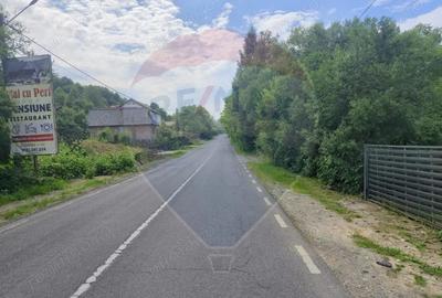 Casă cu 3 camere cu Teren 1268 Mp în Săpânța - 1