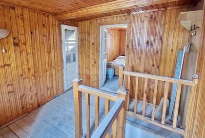 Aproape De Castelul Cantacuzino Aproape De Castelul Cantacuzino - 17