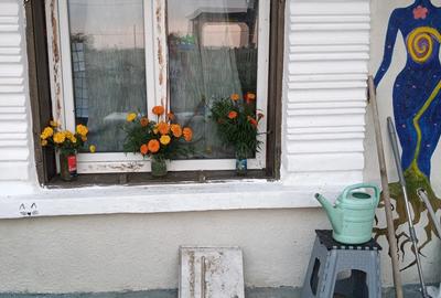 Casa batraneasca si teren - 8