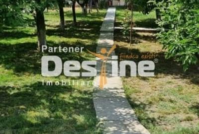 Ocazie - Casa individuala D+P+M 170 mp + 2400 mp teren cu IAZ la asfalt, Osoi - 3