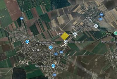 Teren de 66000 mp, în Dascălu - 4
