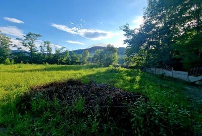 Teren 1,749mp Piatra-Neamt / Strada Zambilelor - 6