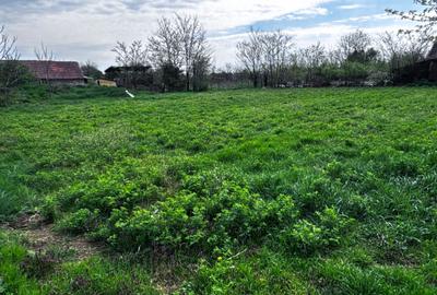 Casă în Grăniceri
