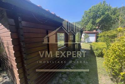 VILA 5 CAMERE, TEREN 4520 MP, LERESTI, ARGES - 13