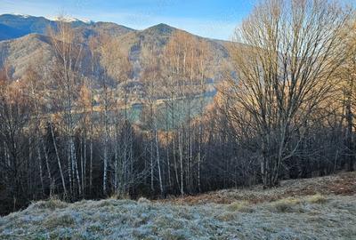 Teren de 10000 mp, în Poiana - 2