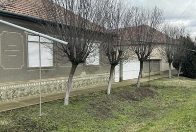 Casă cu 4 camere cu Teren 3611 Mp în Iratoșu - 7