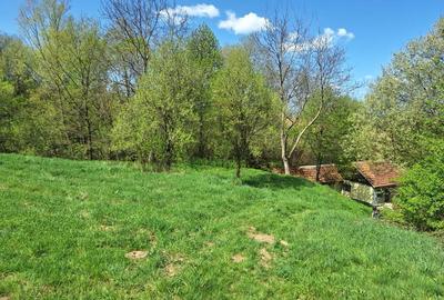 Casă cu 2 camere cu Teren 5000 Mp în Cornițel - 2