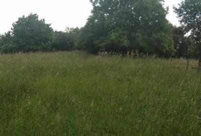 Teren intravilan de vanzare - 4