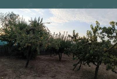 Casă cu 3 camere în Segarcea-Deal - 8