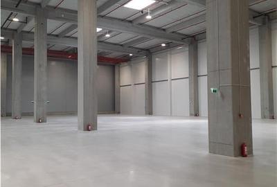 Spatiu Industrial - 5300 mp - Logistica - Productie - Depozitare - Distributie - 14