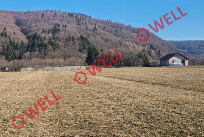 De vânzare teren intravilan în localitatea Vama Buzăului! - 5