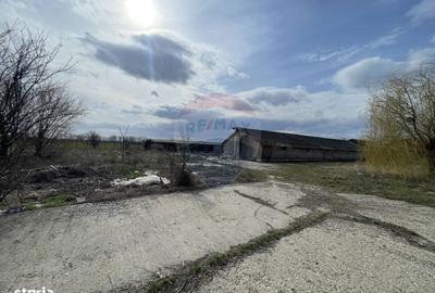 Spațiu comercial, în Central - 3