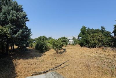 Vanzare teren Clinceni strada Principala - 2