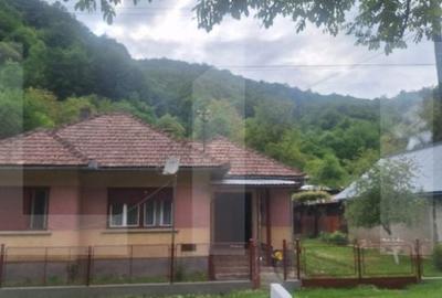 Casă cu 4 camere cu Teren 3745 Mp în Nădrag - 10