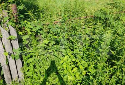 Teren de 1049 mp, în Central - 4