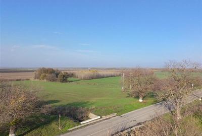 Teren de vanzare in Delta Dunarii loc. Nufaru - 5