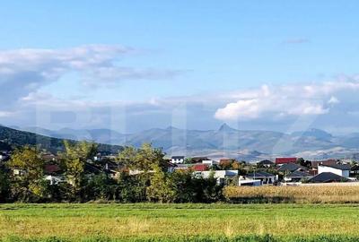 Teren de 600 mp, în Central - 3