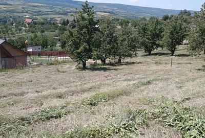 Teren de 3000 mp, în Chicerea - 2