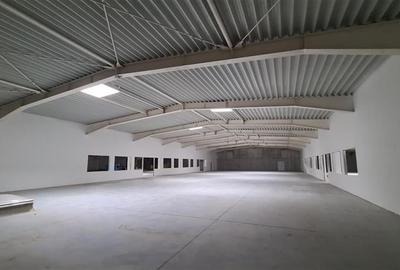 Hala productie Timisoara,  4800 mp,  Exterior Nord - 4