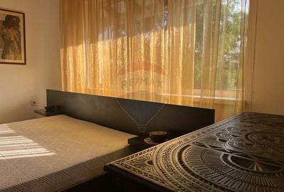 Casă cu 8 camere cu Teren 521 Mp în Pasărea - 19