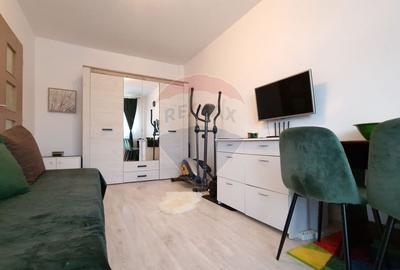 Apartament 2 dormitoare si bucatarie, parcare inclusa, 10 min de Vivo! - 24