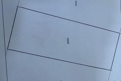 Teren intravilan, 1000 mp, Daia Noua - 1