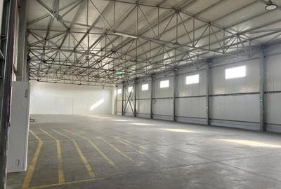 Spațiu comercial, de 755 mp, în Ștefăneștii de Jos - 2