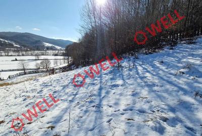 De vânzare teren extravilan în com. Vama Buzăului, Sat Buzăiel! - 2