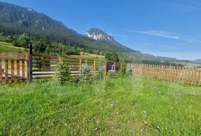 Teren Plaiul Foii, vedere spre muntii Bucegi si apa Barsa 10 - 14