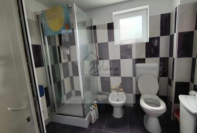 Casa Ciocanesti Cretu - 2 camere cu teren 2539 mp - Jud. Dambovita - 16